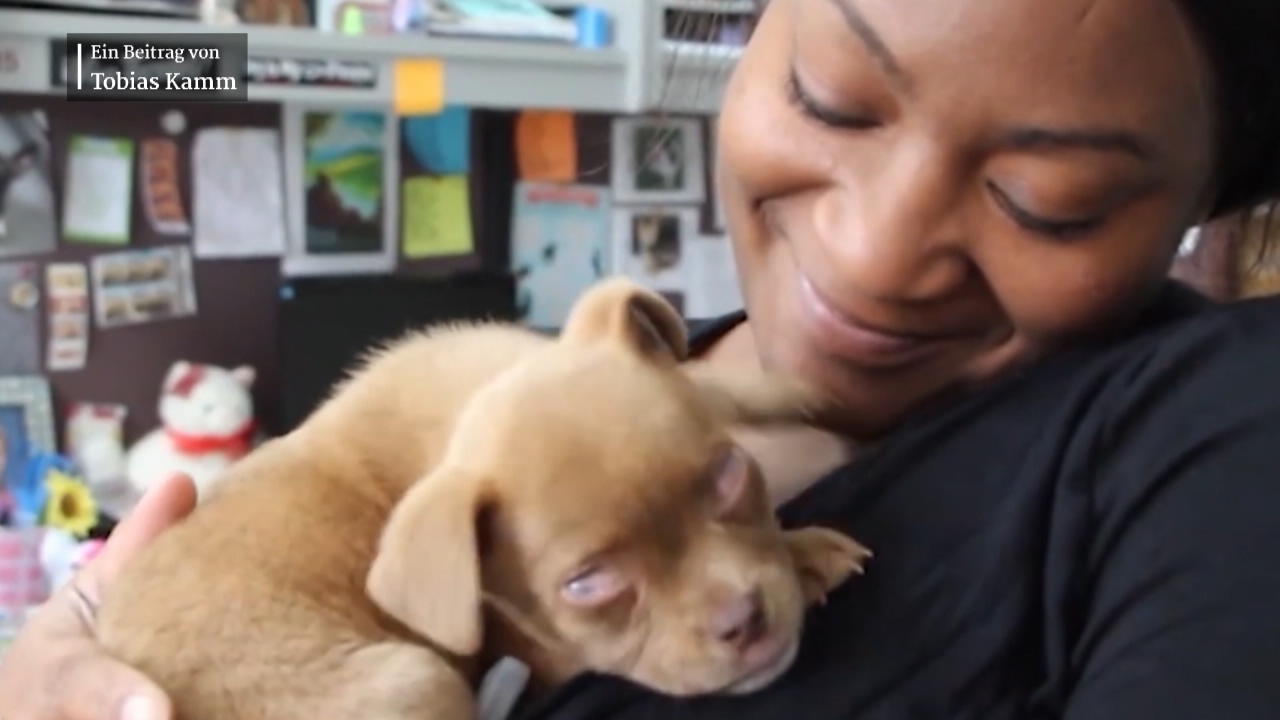 Texas Welpe Puddin ist wegen Vorbesitzern blind trotzdem fand sie