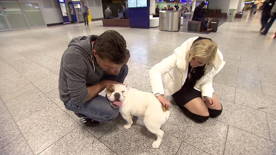 Klonhund Marlon 2 ist in Deutschland angekommen Erster geklonter Hund Deutschlands