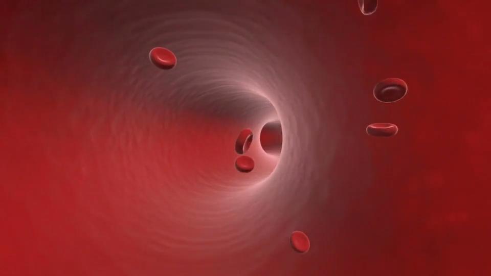 Welcher Hämoglobin-Wert ist normal? Sauerstoff von der Lunge in den Körper
