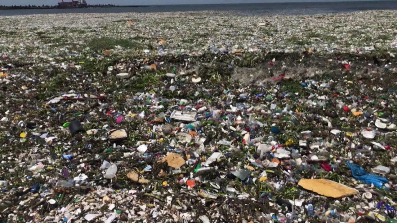 So schlimm sehen unsere Meere aus World Ocean Day
