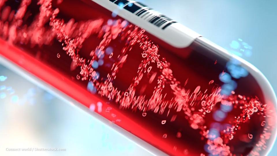 DNA: das Erbgut allen Lebens Genetische Information aller Lebewesen