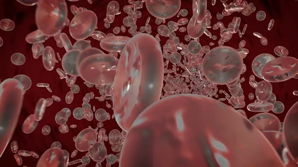 Rote Blutkörperchen Aufbau und Funktion