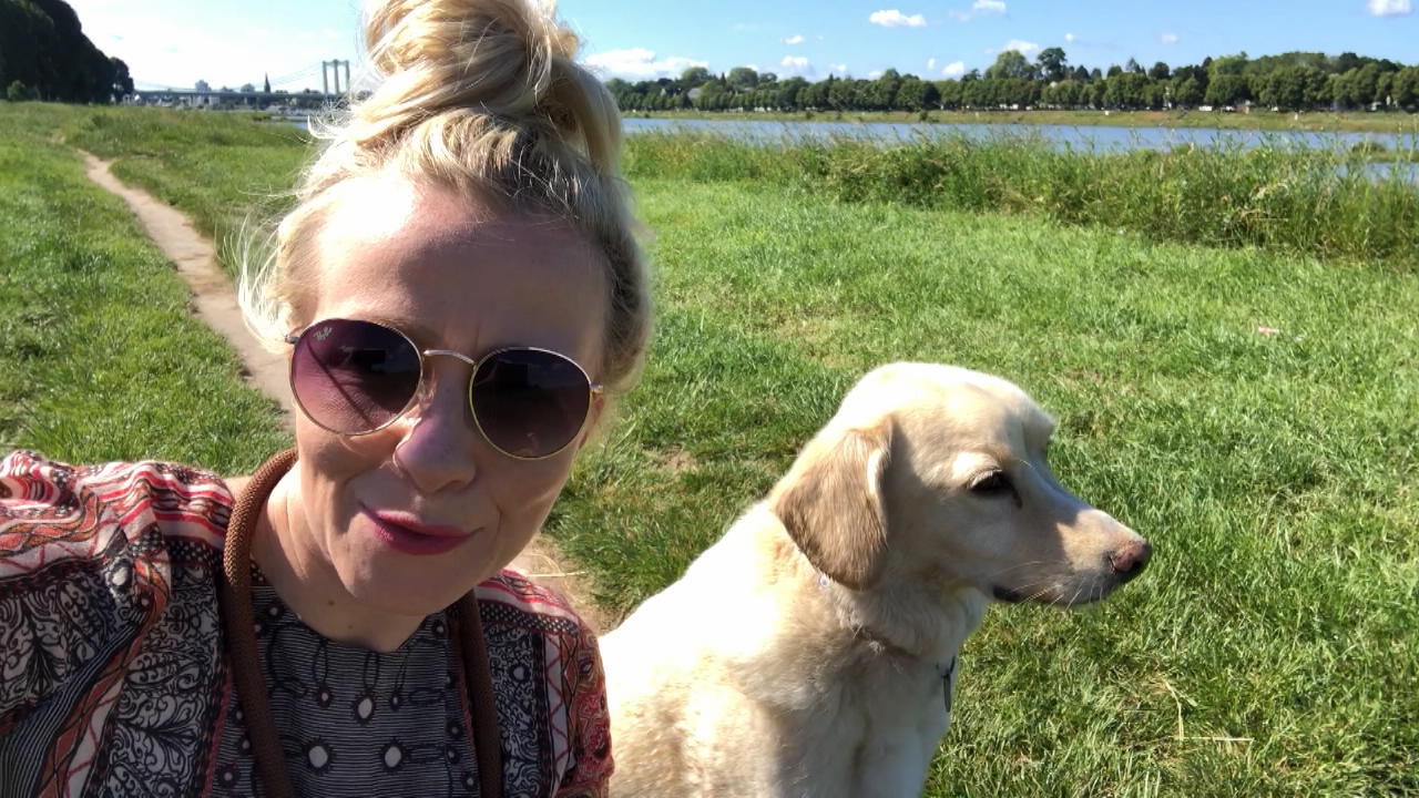 Reportertest: Wie schütze ich Hunde vor Hitze 6 Tipps getestet