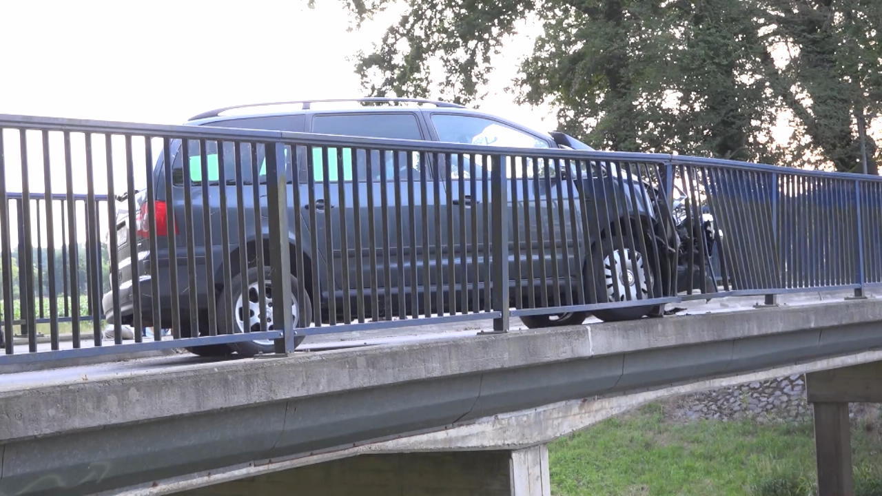 Wespenstich verursacht Autounfall Glück im Unglück für den Fahrer