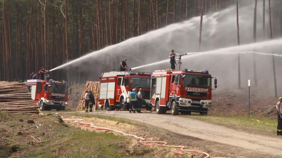 Waldbrand immer noch nicht unter Kontrolle Löscharbeiten in Mecklenburg-Vorpommern