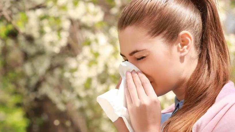 Allergien Wenn das Immunsystem verrückt spielt