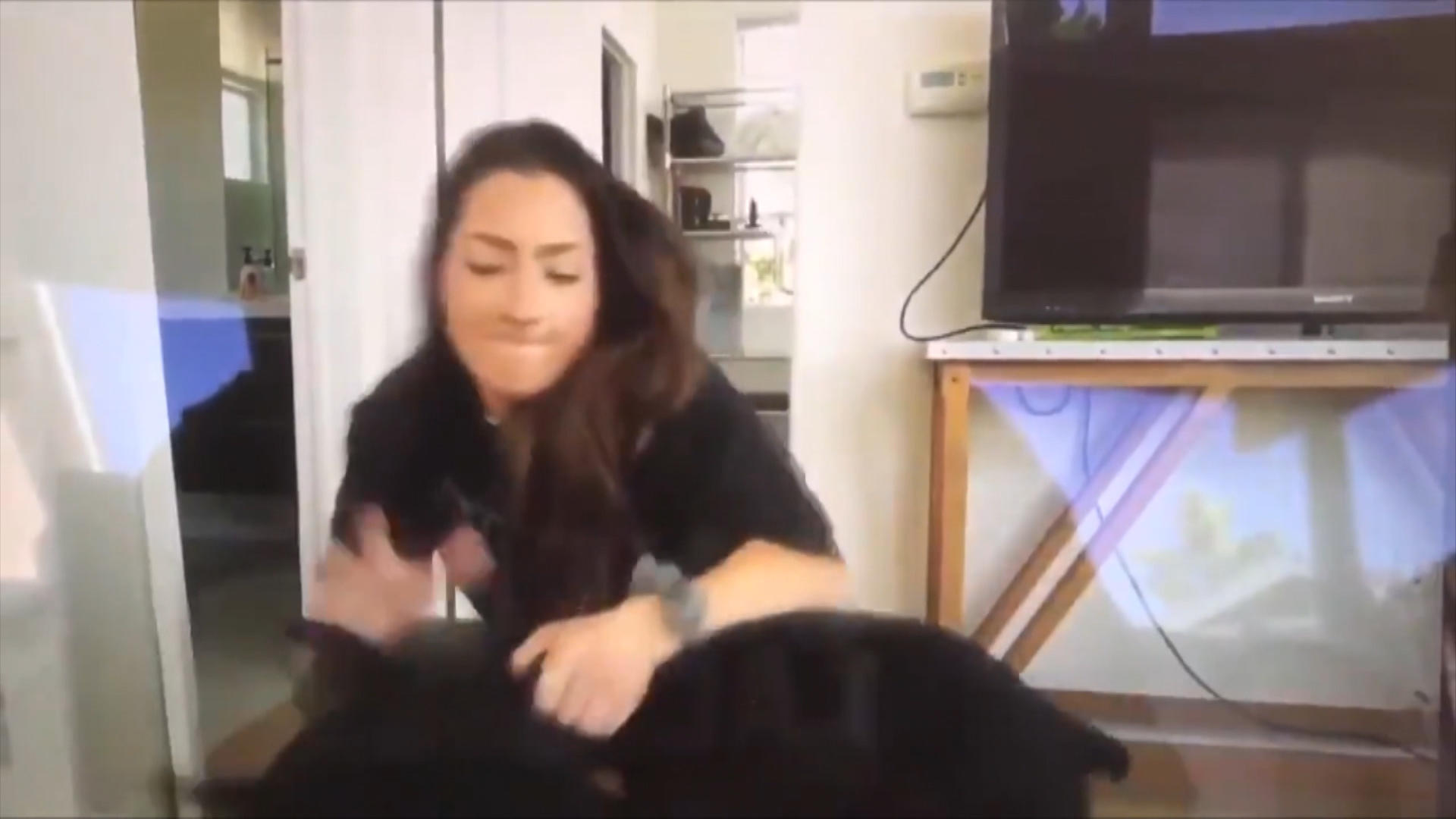 Youtuberin schlägt ihren Hund Schockierende Aufnahmen