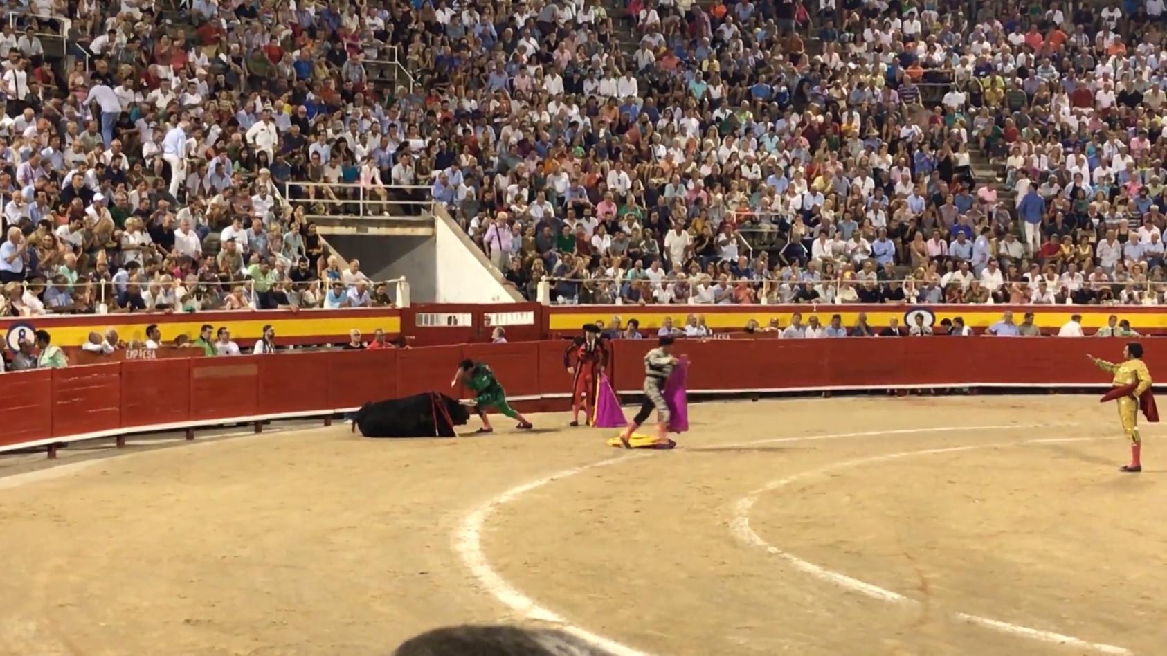 Torero versetzt Stier den Todesstoß Vor 9.000 Zuschauern auf Mallorca