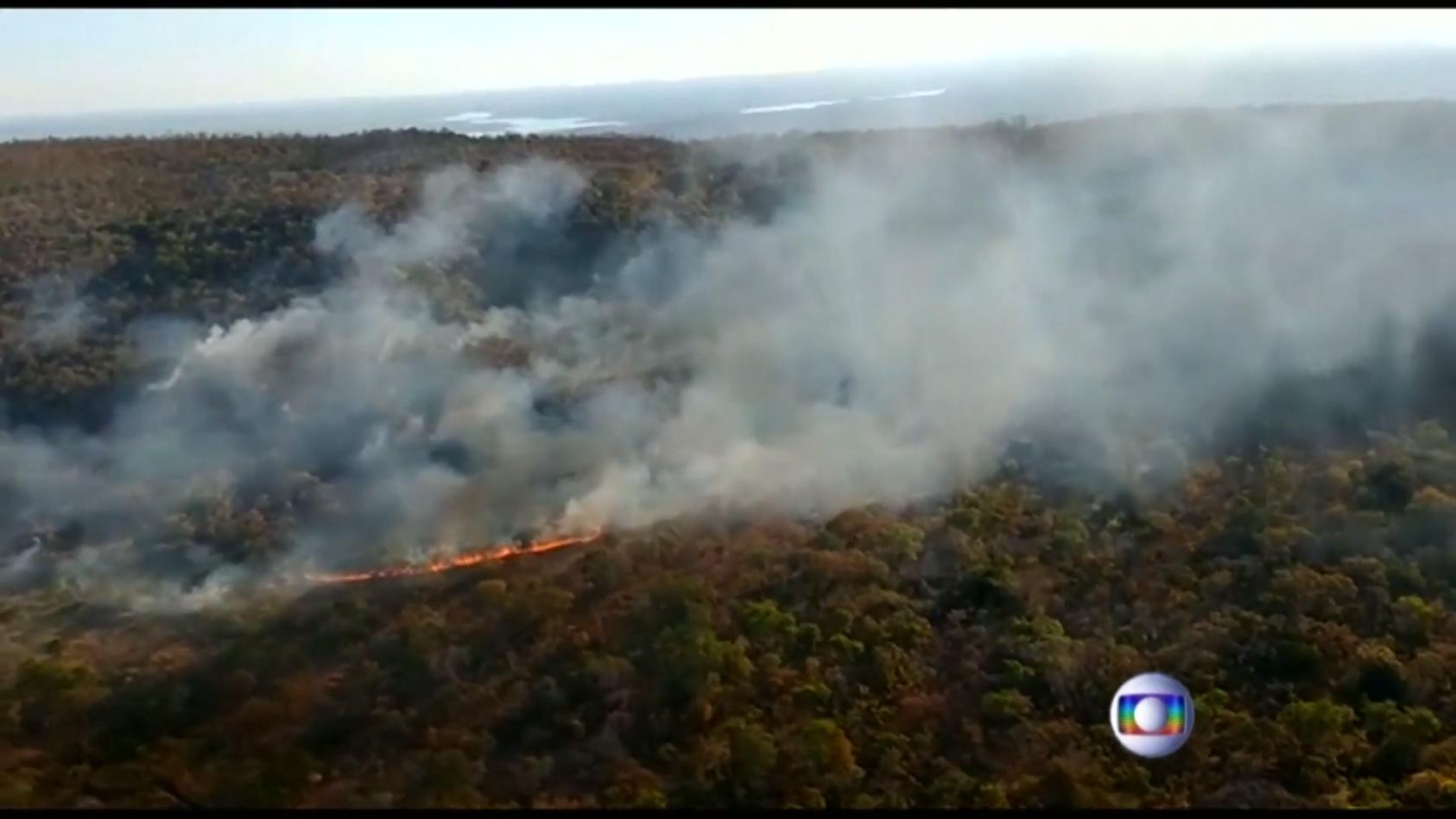 Rekord-Waldbrände im Amazonas-Gebiet Neue Zahlen aus Brasilien