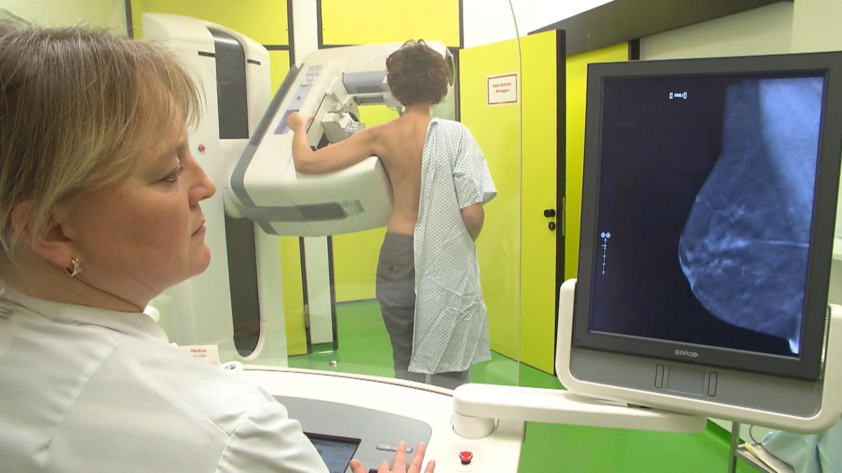 So unterscheiden sich Ultraschall und Mammographie Wann ist welche Methode nötig?