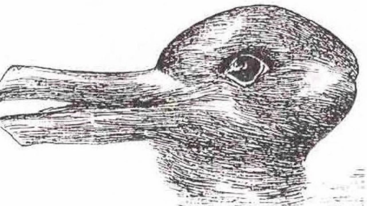 Hase oder Ente - was sehen Sie? Die Schnelligkeit sagt viel über Sie aus