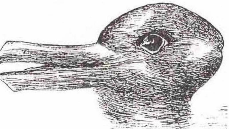 Kippbild Hase Ente