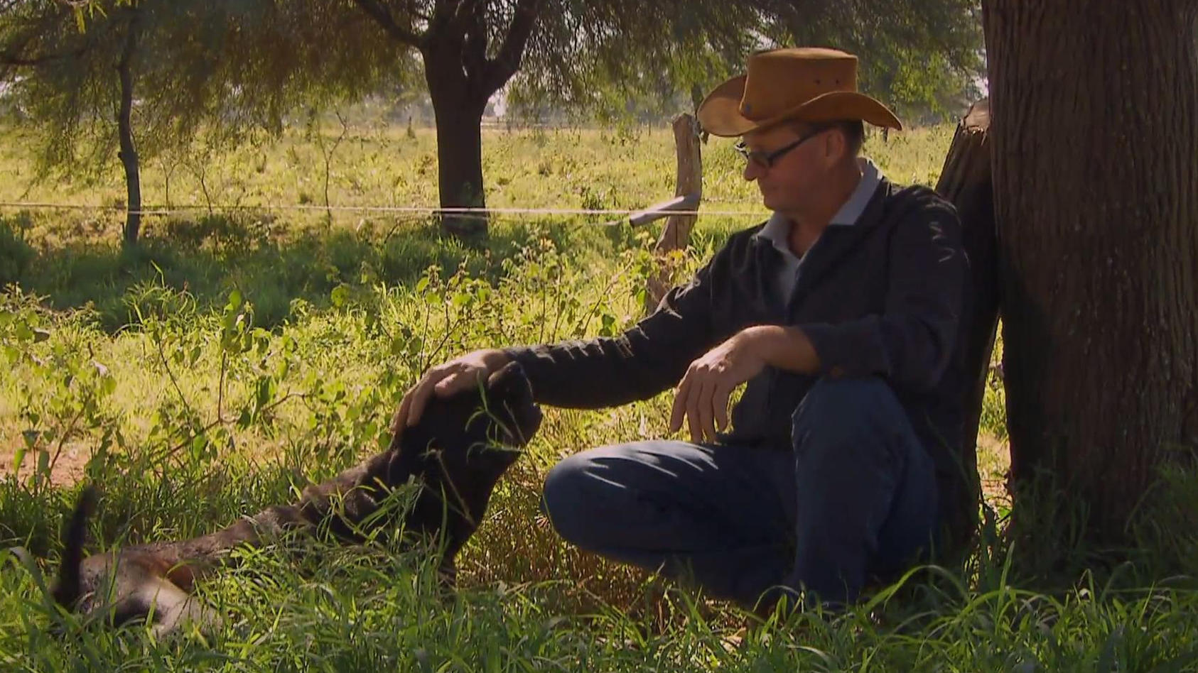 Bauer Rudi aus Paraguay stellt sich vor Der Rinderwirt ist (noch) einsam
