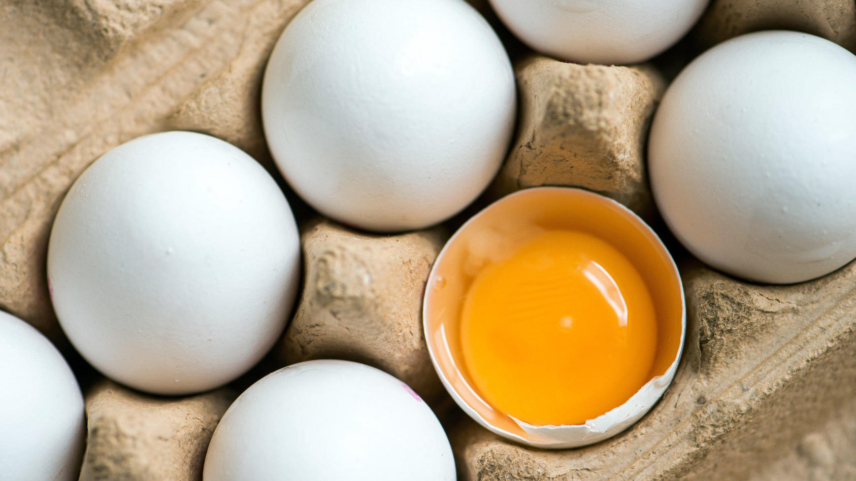 Woher kommen eigentlich Salmonellen? Gesundheitslexikon