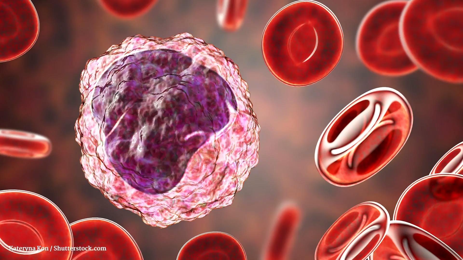 Monocitos: células que se alimentan de virus como Pac-Man