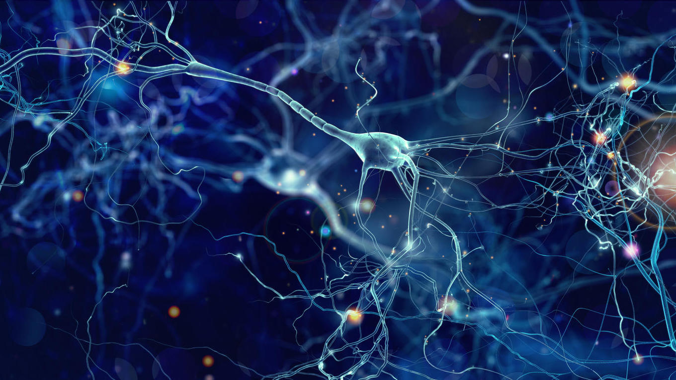 Was sind Synapsen? Kleine "Lücken" im Gehirn