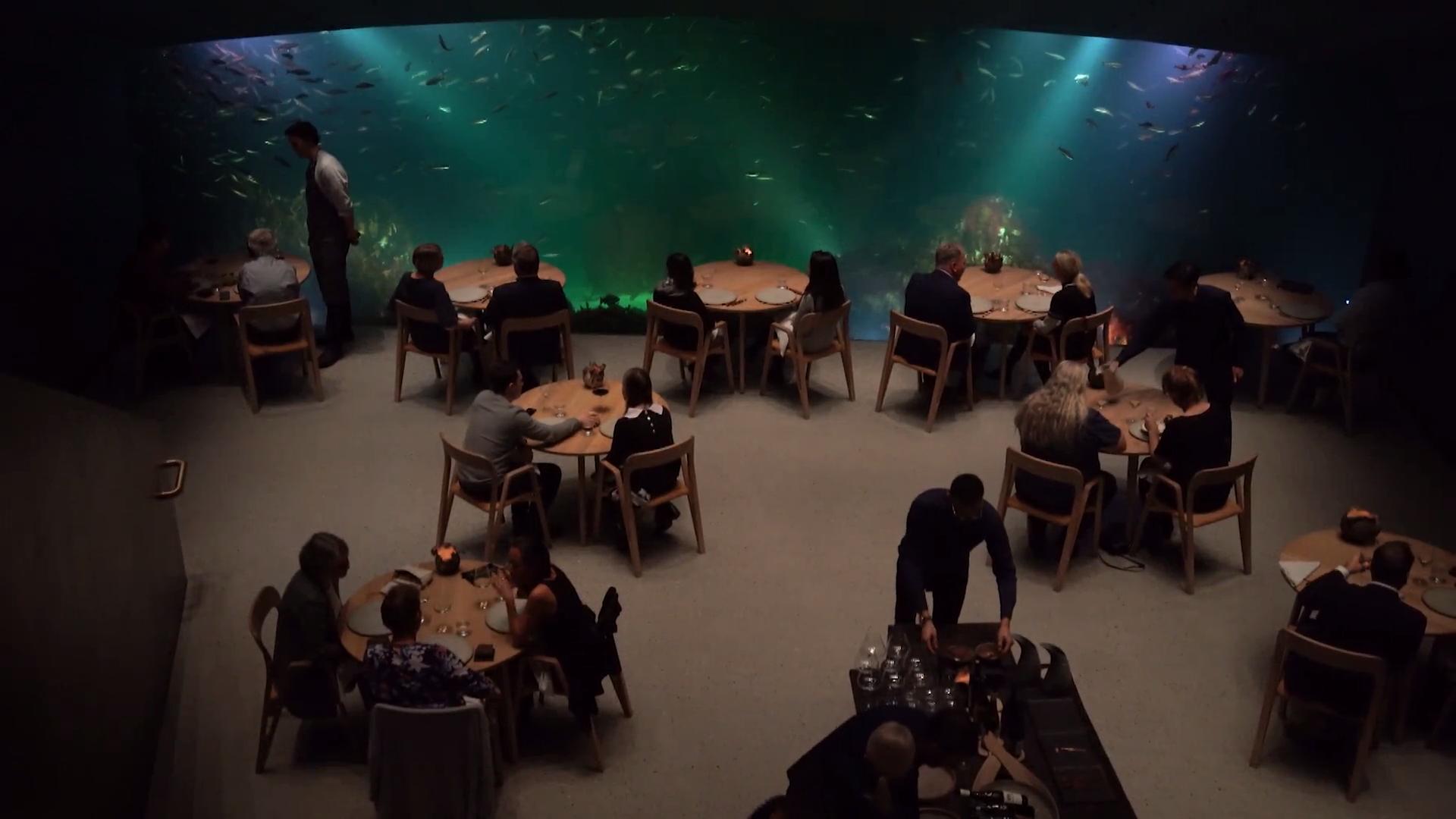 Essen im norwegischen Unterwasserrestaurant Ganz schön beeindruckend!