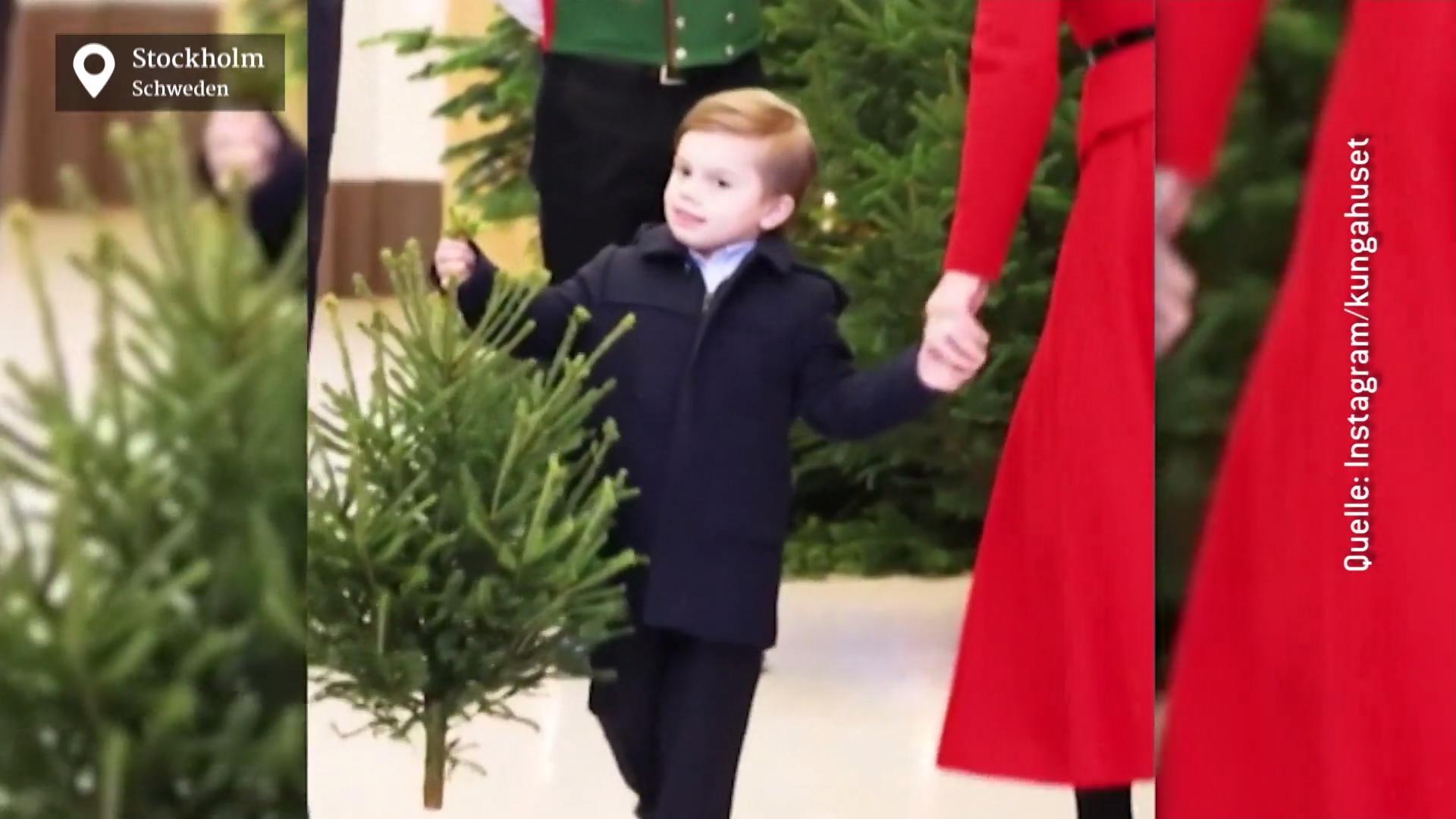 Prinz Oscar empfängt die Weihnachtsbäume Schweden-Royals