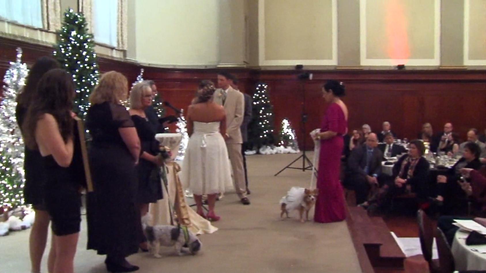 Braut führt Hund zum Altar Tierische Hochzeit
