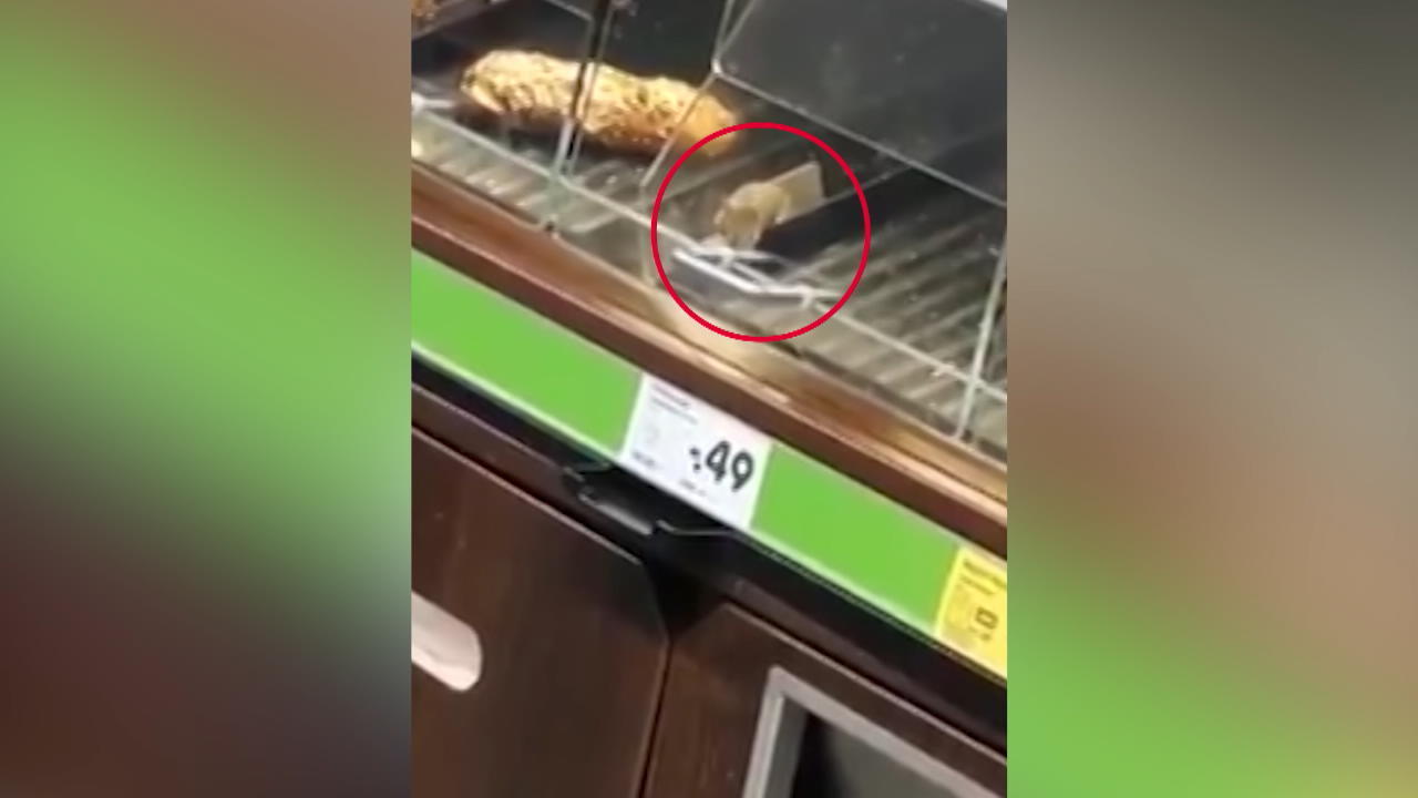 Maus wühlt sich durch Netto-Brotregal Ekel-Alarm im Supermarkt
