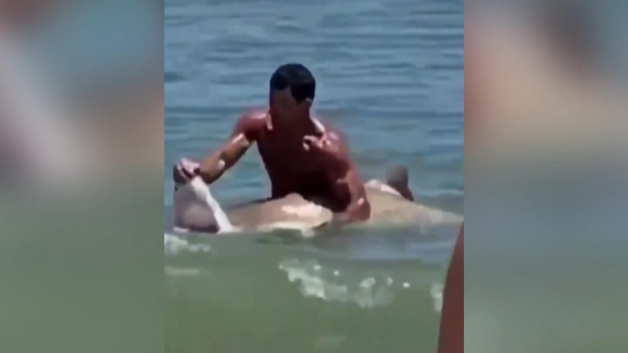 Mann am Strand mit Hai im Arm Poseralarm