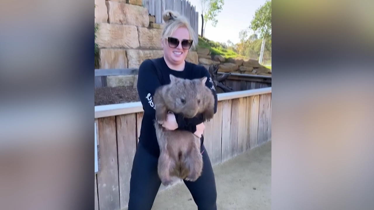 Rebel Wilson macht ihr Workout mit einem Wombat Tierischer Abschied von Social Media