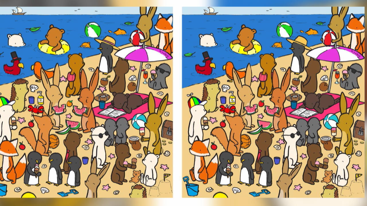 Hidden Object Super Challenging Can you find all 7 differences?