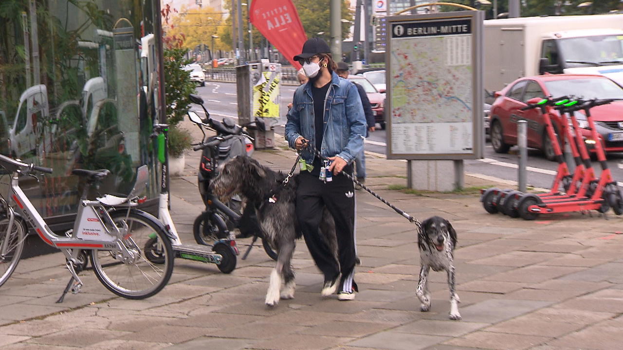 Tom spaziert mit den Hunden in Berlin Beim Gassigehen erwischt