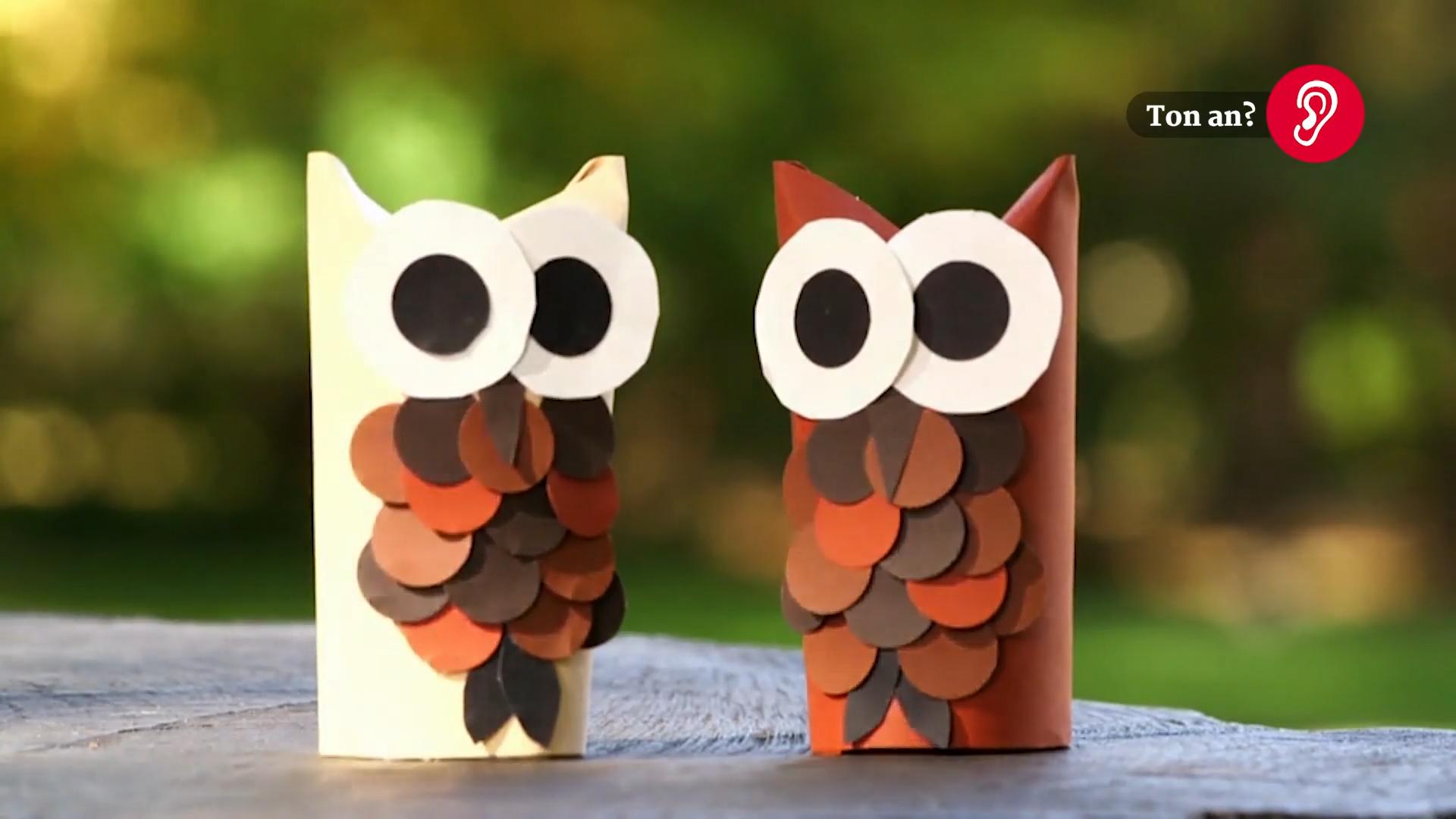 How to make an owl from a roll of toilet paper Quick craft from trash
