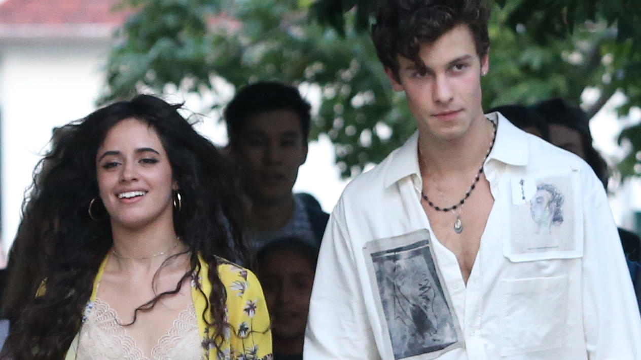 Nachwuchs für Shawn Mendes und Camila Cabello "Tarzan" ist ihr neues Familienmitglied