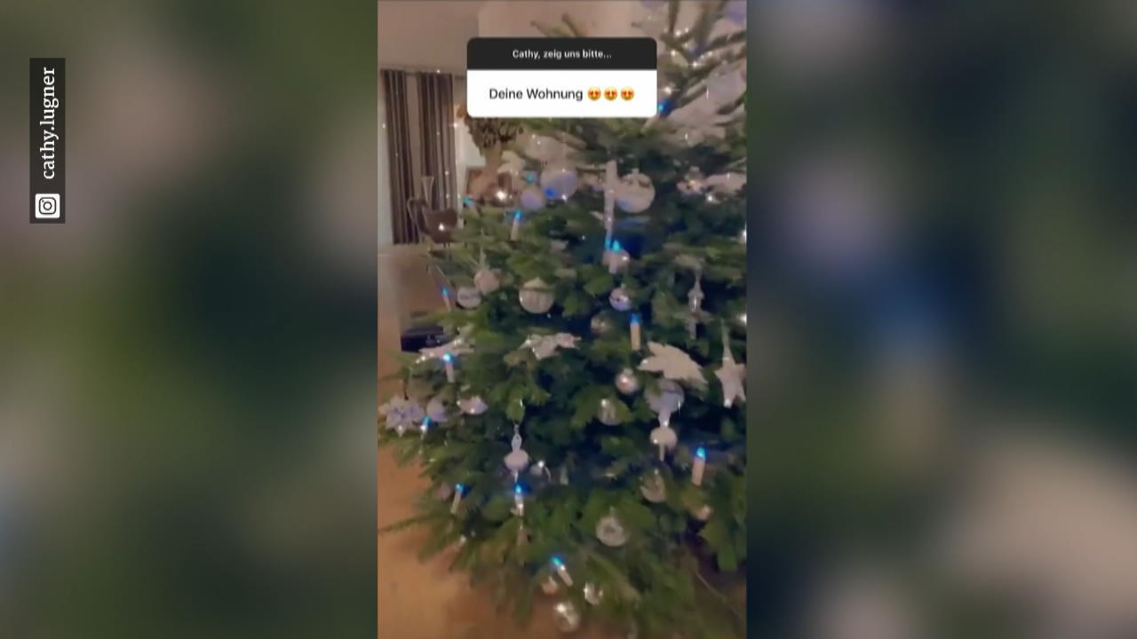 Cathy Lugner ganz privat: So sieht es bei ihr daheim aus Ihr Town-House
