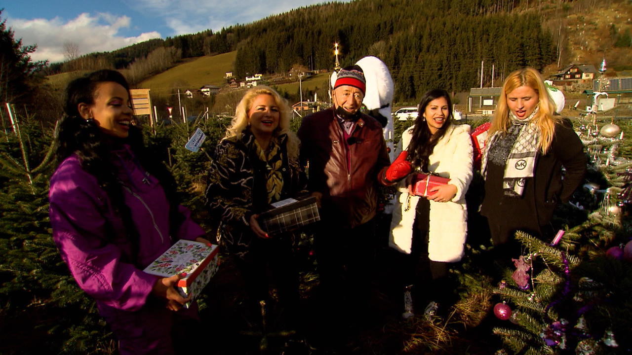 Richard Lugner und sein "Zoo" im Weihnachtsmodus Christbaumschmücken mit diversen Ex-Freundinnen