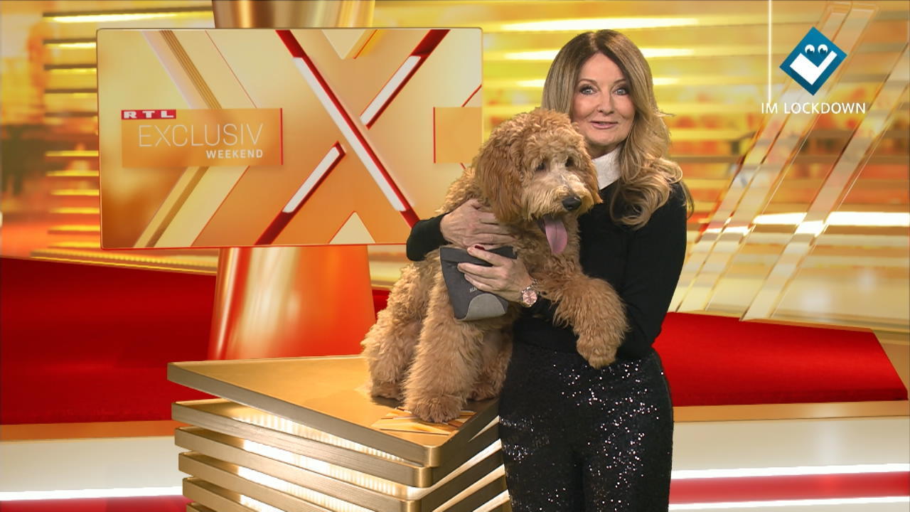 Frauke Ludowig und Hund Cooper bei RTL Exclusiv Tierischer Co-Moderator