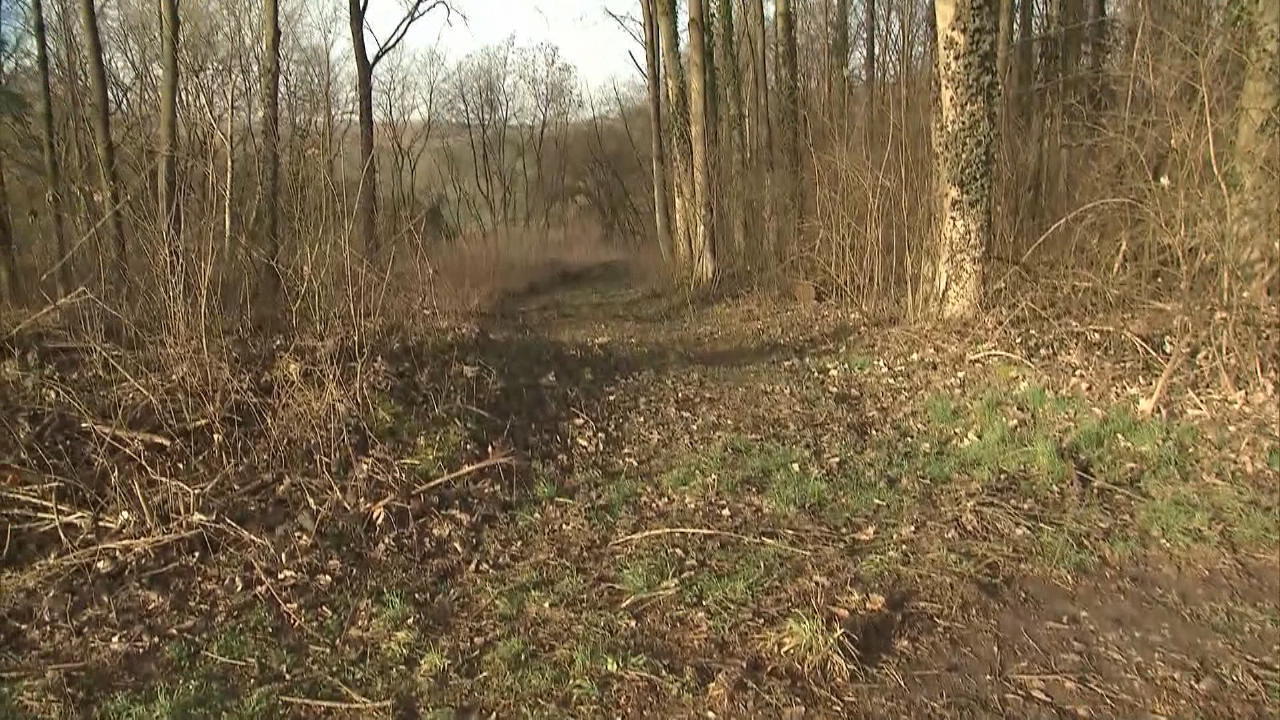 Junge In Sinsheim Eschelbach Erstochen Verdachtiger 14 Begann Letztes Jahr Mit Anti Aggressions Training
