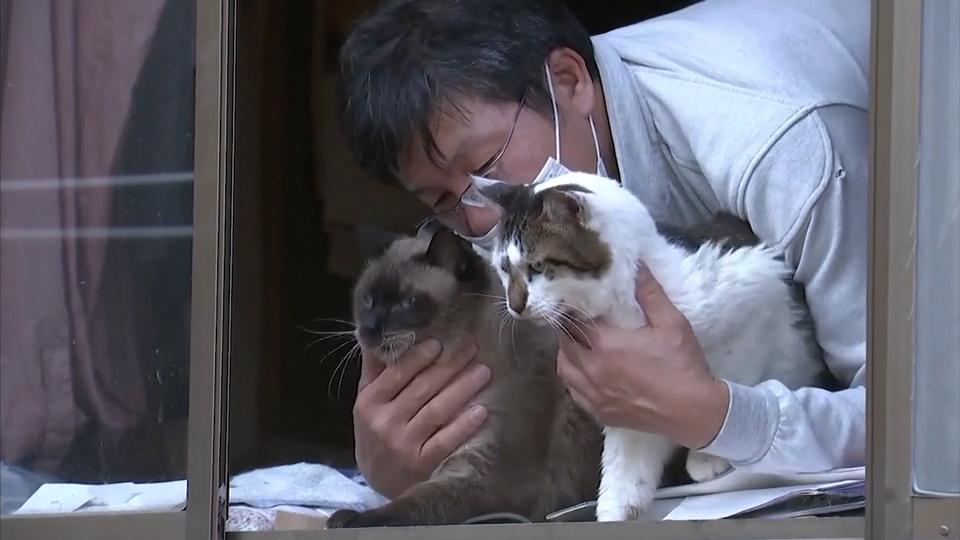 Sakae Kato kümmert sich um die Tiere 10 Jahre Fukushima
