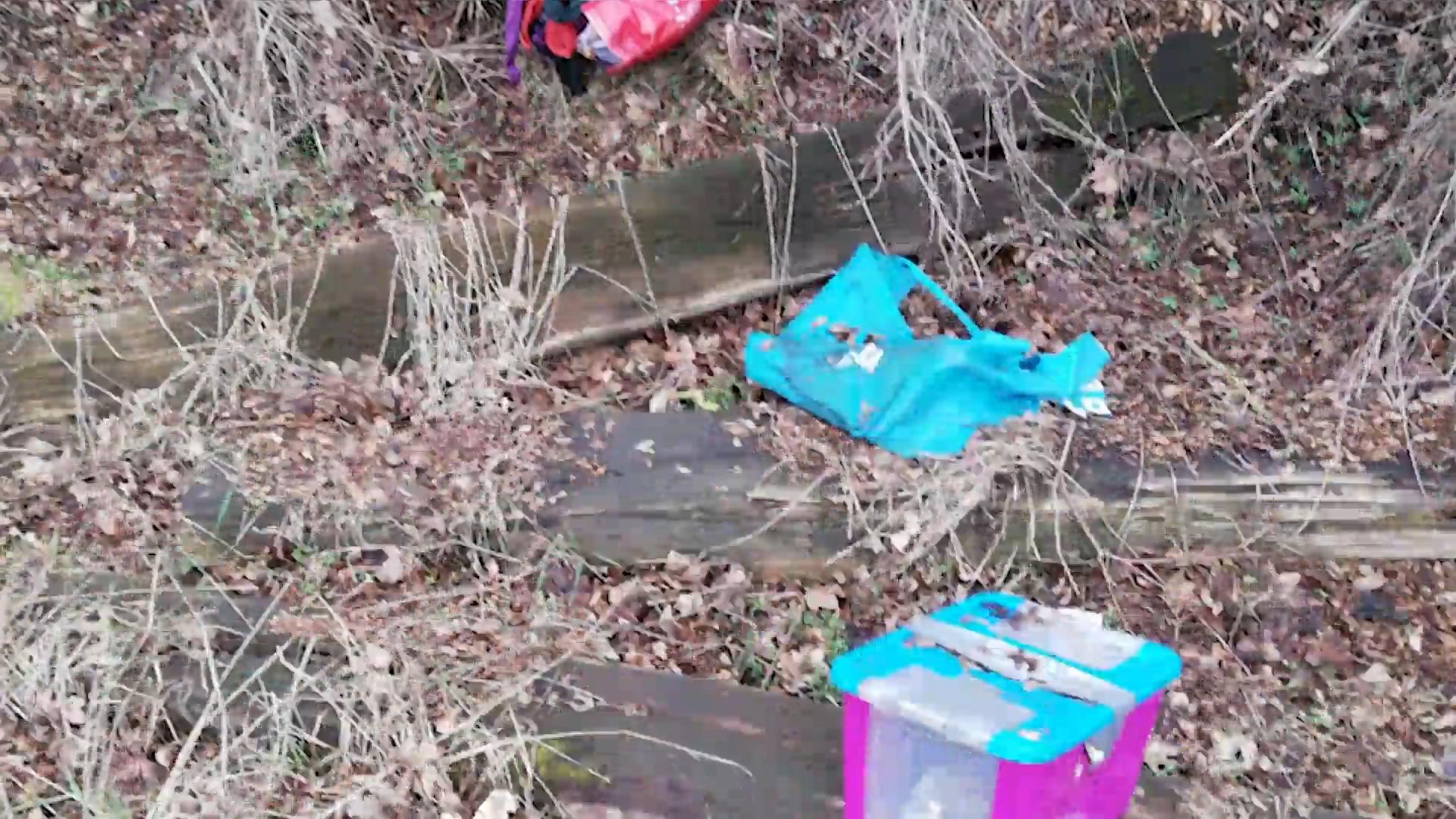 Grausamer Serientäter tötet Katzen, Kaninchen und Igel Erneut tote Tiere in Ober-Mörlen (Hessen) gefunden