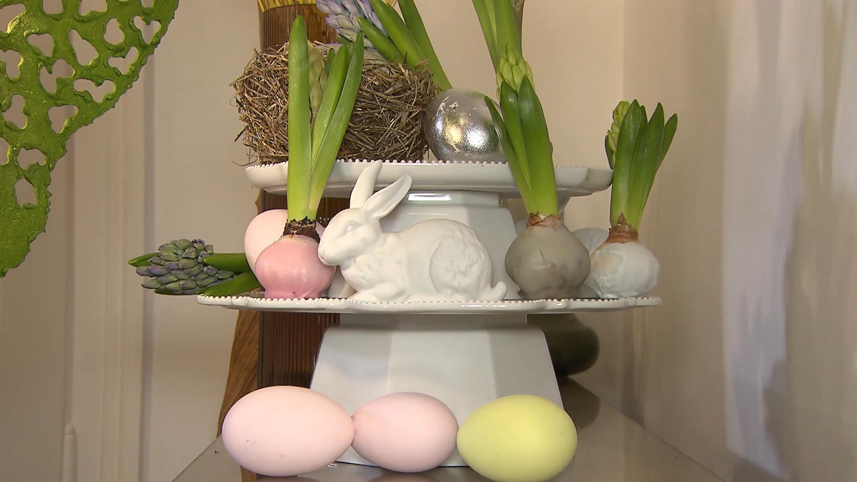 Für diese Blumen braucht man keinen grünen Daumen DIY-Deko zum Frühling