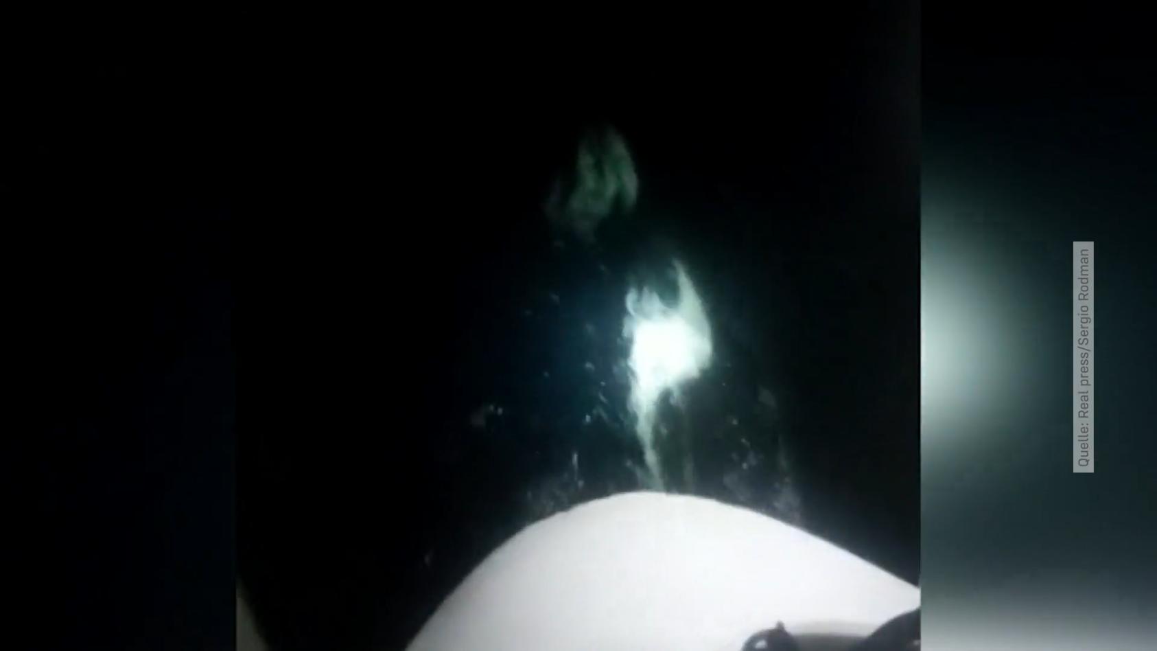 Segler versuchen mit Leuchtfackeln Orcas zu vertreiben Wieder Angriff in der Straße von Gibraltar