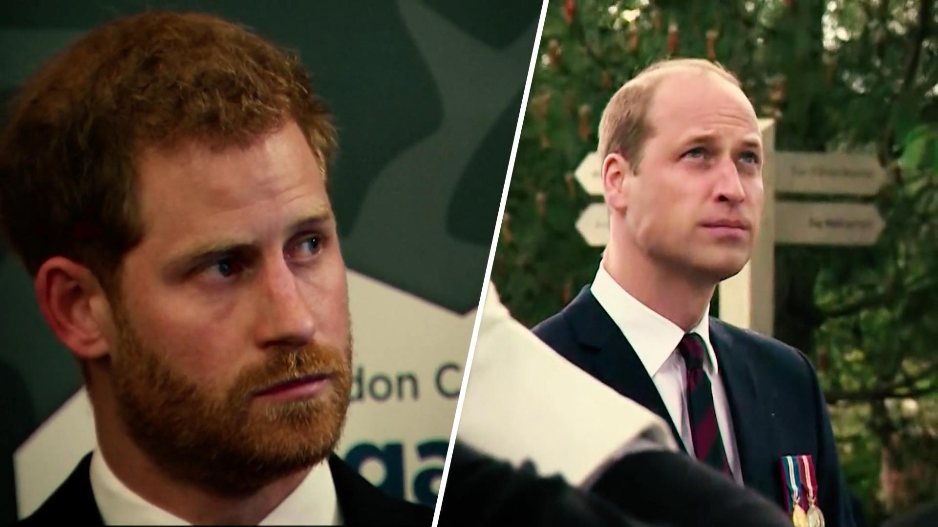 Die Statements von Harry & William im Vergleich Versteckte Botschaften?