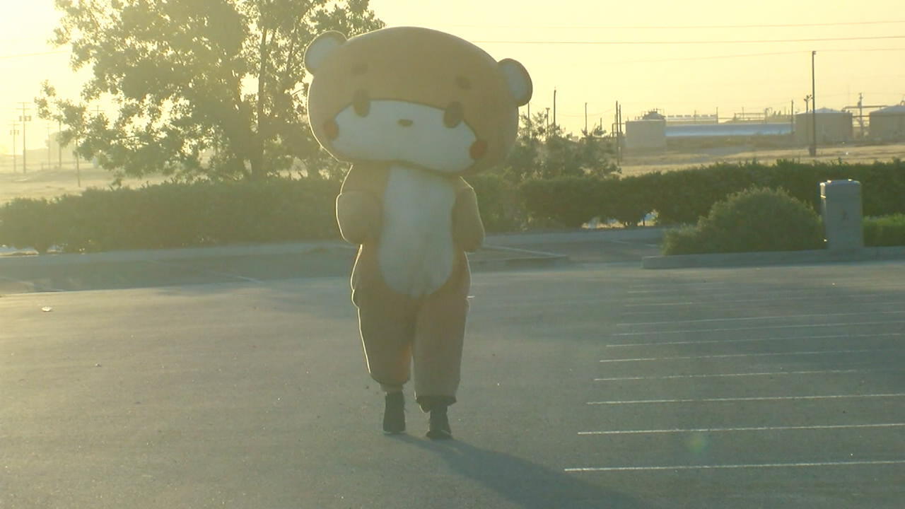 Dieser Teddybär geht 600 Kilometer zu Fuß Von Los Angeles nach San Francisco