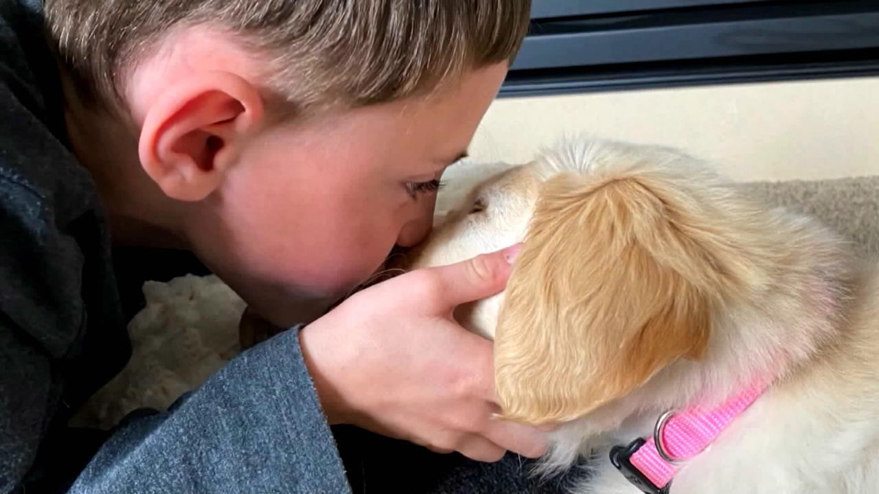 Siebenjähriger mit Prothese adoptiert Welpen mit drei Pfoten Diese zwei sind füreinander bestimmt
