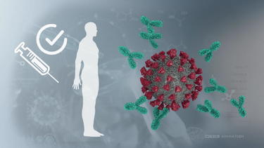 Schritt für Schritt erklärt: Das passiert durch die Corona-Impfung in ...