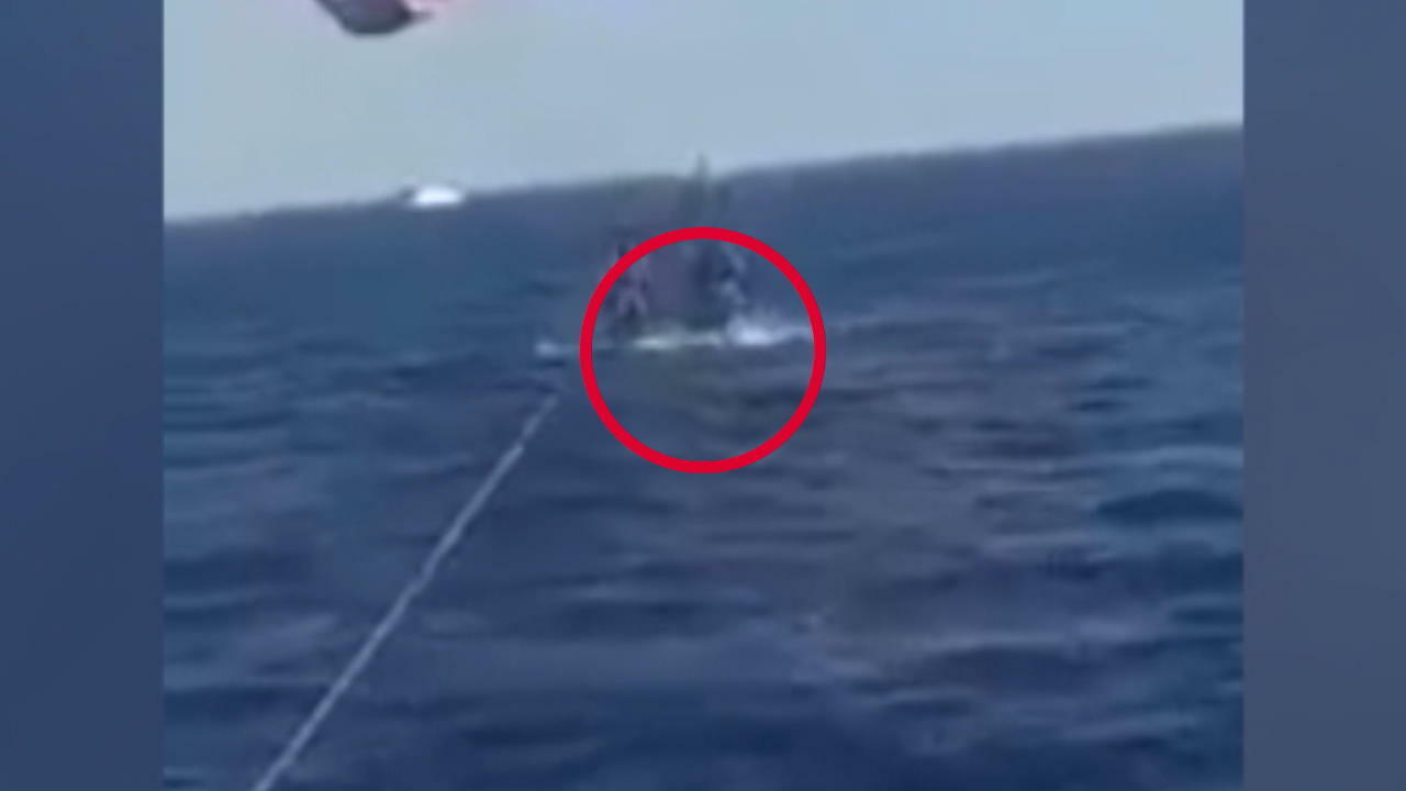 Dramatischer Hai-Angriff am Roten Meer Der Biss durchtrennte ihm die Sehnen