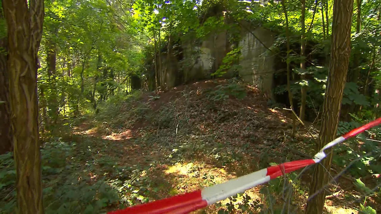 In diesem Waldstück wurde Bianca S. gefunden Abgeschieden in Oranienburg
