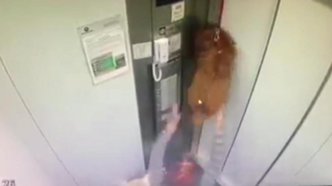 Hund bleibt mit Leine im Aufzug stecken Zum Glück gerettet
