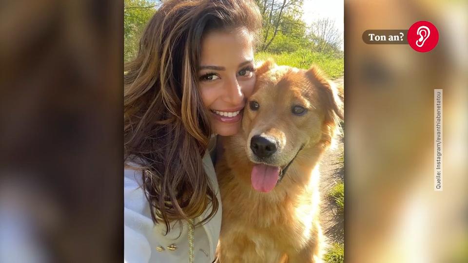 Eva Benetatou: Hündin lebt erstmal bei der Familie Sie vermisst ihr Haustier