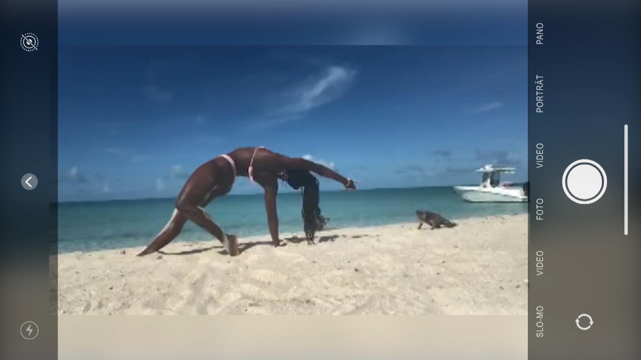 Leguan beißt Frau beim Yoga Er ist der Strandwart