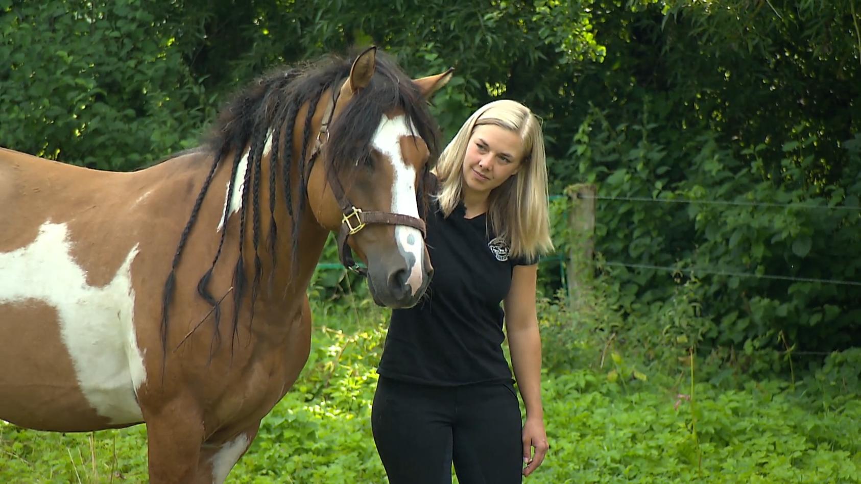Amerikanische Mustang-Pferde finden neues Zuhause Vorm Hungertod bewahrt