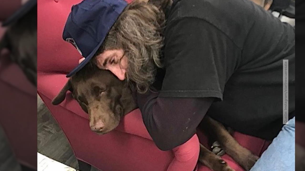 Obdachloser wieder mit seinem Hund vereint Emotionales Wiedersehen