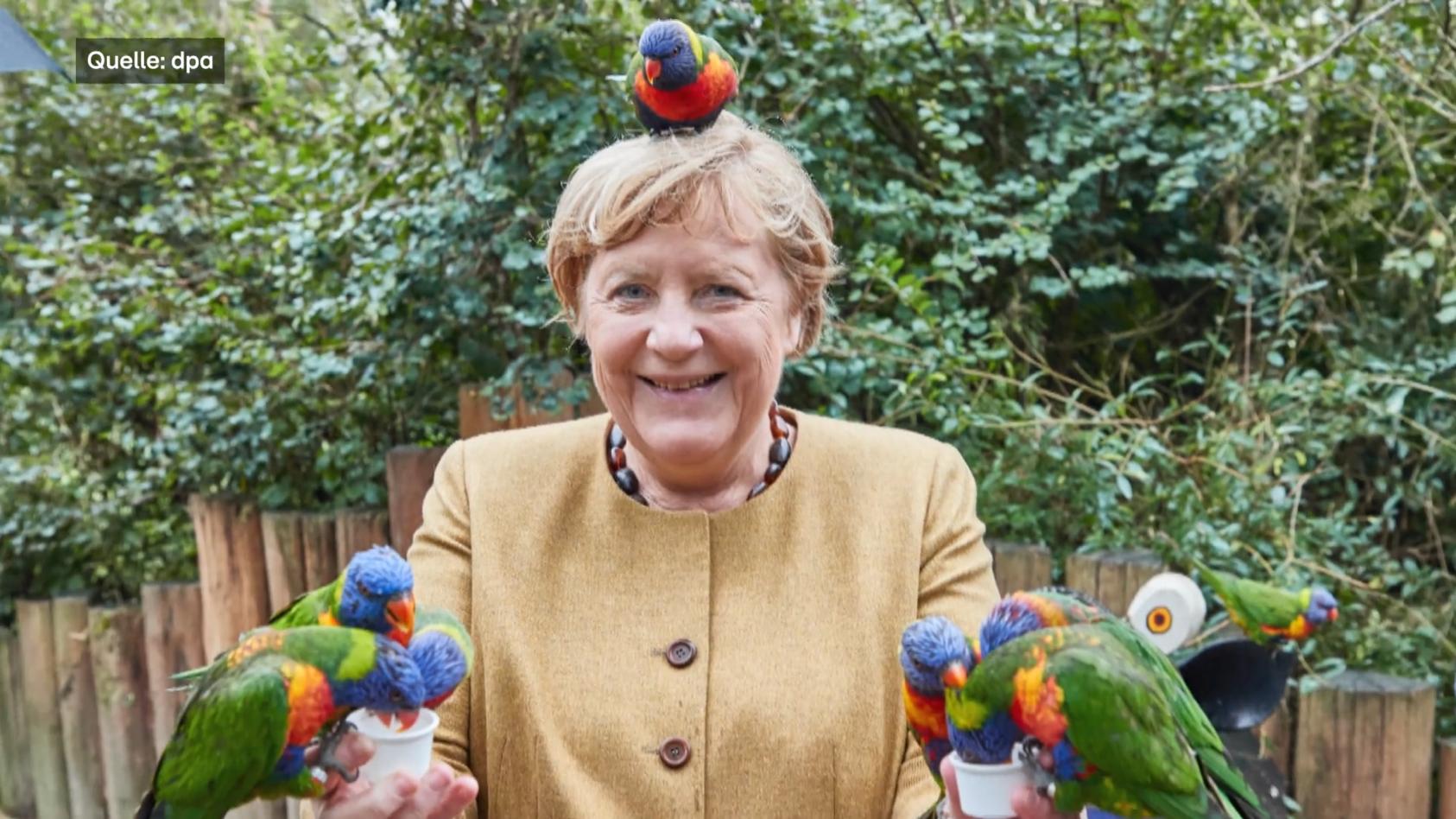 Merkel und ihre tierischen Begegnungen Pinguine, Lemuren, Fische